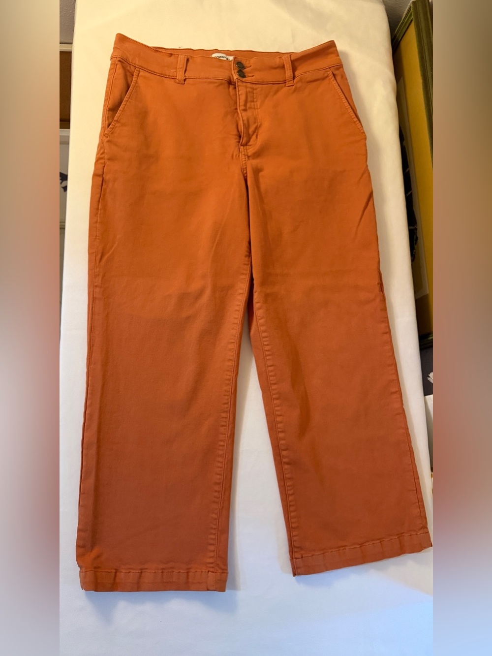 Studio Blue Rust Terracotta Stretch Straight Leg Pants Size 32